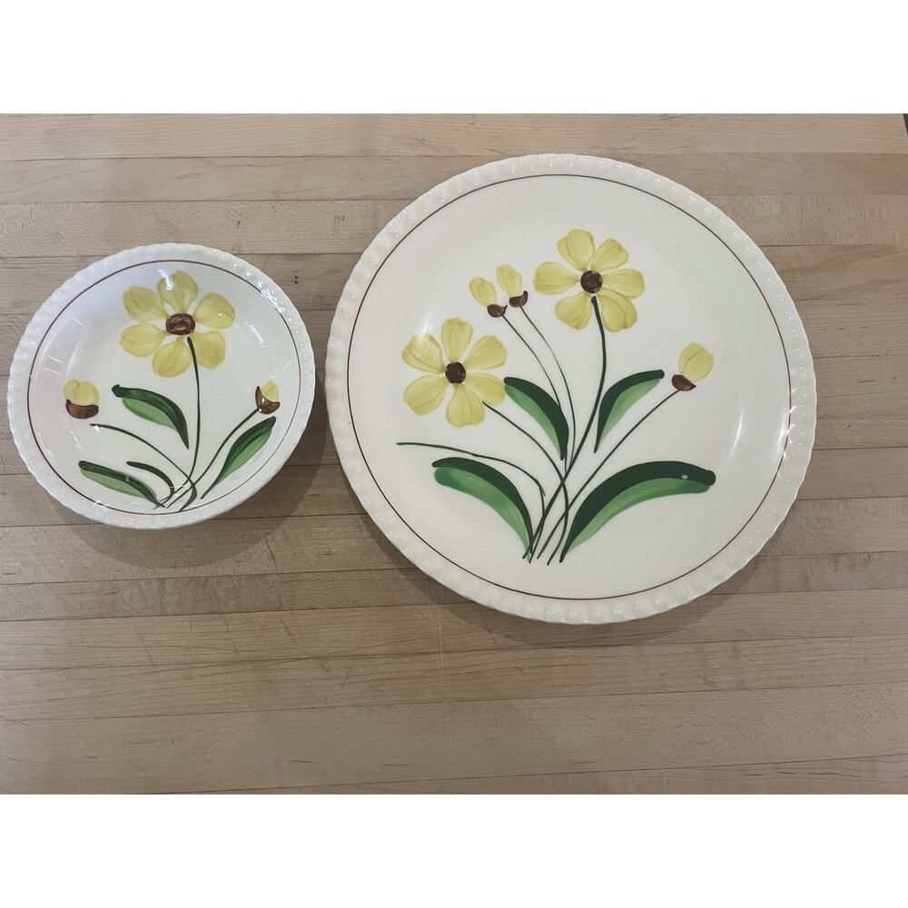 Blue Ridge Southern Potteries Floral “Sunshine” Hand Painted 9” Plate & Bowl USA